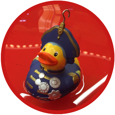 hook a duck for hire